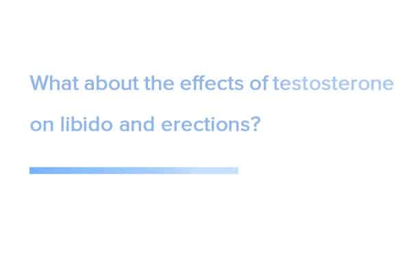 What-about-the-effects-of-testosterone-on-libido-and-erection